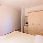 & Papa