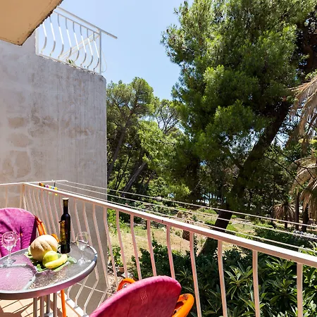 & Papa 게스트하우스 믈리니