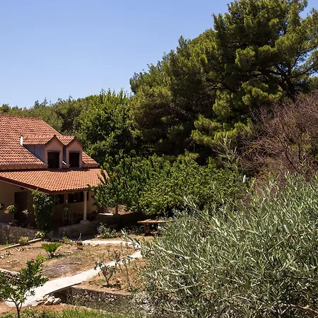 & Papa 게스트하우스 3*