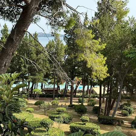 ゲストハウス & Papa ムリニ