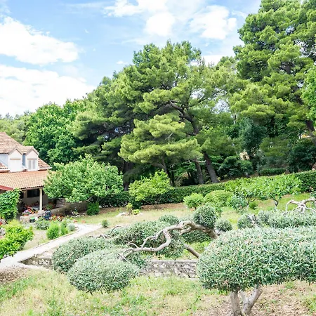 & Papa ゲストハウス 3*